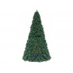 Ель высотная Royal Christmas Giant Trees (440 см)