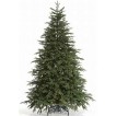 Ель Royal Christmas Delaware 77150 (150 см)
