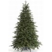 Ель Royal Christmas Delaware 77240 (240 см) в двух местах