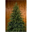 Ель Royal Christmas Delaware 77240 (240 см) в двух местах