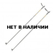 Лыжные палки 75 см (г. Бийск)