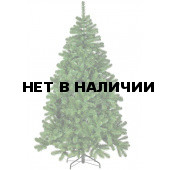 Сосна Триумф Рождественская 73276 (215 см)