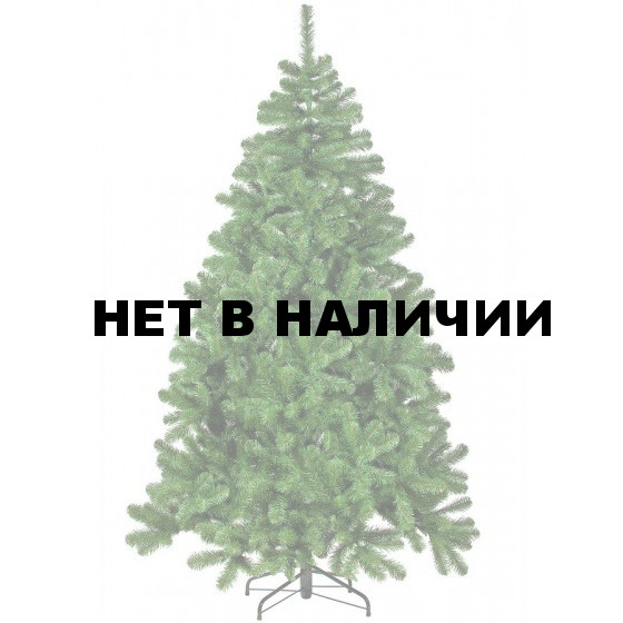 Сосна Триумф Рождественская 73276 (215 см)