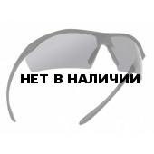 Очки Bolle SENTINEL (SENTIPSF) smoke lens