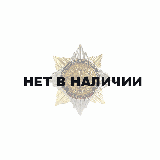 Нагрудный знак Россия Военно-Воздушные силы с эмблемой металл