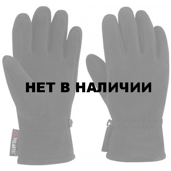 Перчатки Баск POLAR GLOVE LIGHT V2 черные