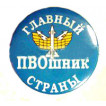 Значок сувенирный № 98 Главный ПВОшник страны полиамид