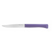 Нож столовый Opinel N°125, полимерная ручка, нерж, сталь, темно-голубой. 002190