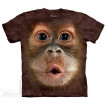 Футболка The Mountain Big face baby orangutan