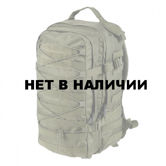 Рюкзак Helikon-Tex RACCOON Backpack olive green