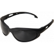 Очки Edge Eyewear Falcon GSF61-G15 с пылезащитной вставкой черная линза