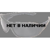 Очки Edge Eyewear Hamel XH61-G15-TT черная линза