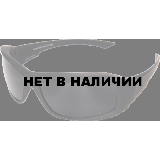 Очки Edge Eyewear Hamel XH61-G15-TT черная линза