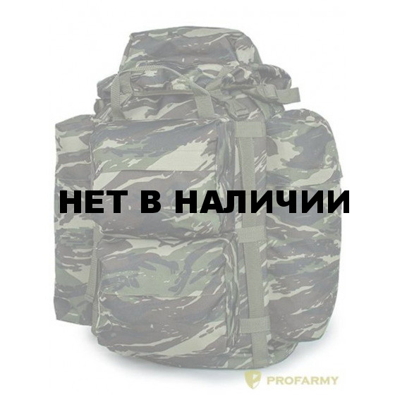 Рюкзак ProfArmy РР Егерь-2 60л кордура зеленый камыш