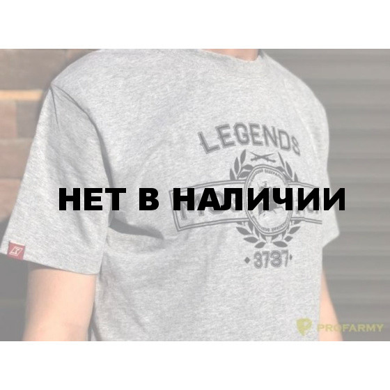 Футболка ProfArmy Legends Моздок 3737 grey