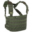 Жилет ANA Tactical Вымпел разгрузочный на molle A-Tacs LE