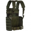 Жилет ANA Tactical Вымпел разгрузочный на molle A-Tacs LE