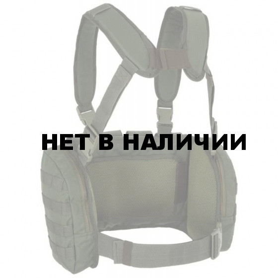 Жилет ANA Tactical Альфа разгрузочный с 4 подсумками под 2 магазина АК и 2 подсумками под имущество на molle OD Green