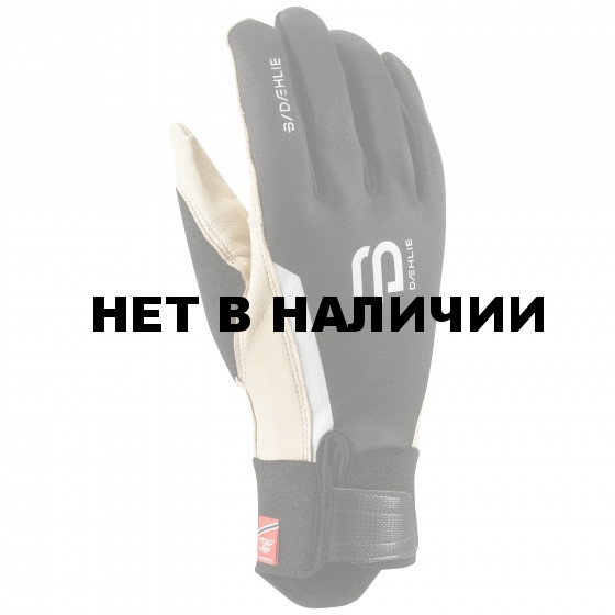 Перчатки беговые Bjorn Daehlie 2016-17 Glove RACE Black 
