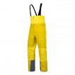Брюки для активного отдыха Salewa 2017-18 ANTELAO CORDURA PTX 3L M PNT kamille yellow/2080 (EUR:52/XL)