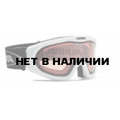 Очки горнолыжные Alpina Skybird Q white_Q S1 
