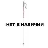 Горнолыжные палки Elan 2015-16 SP JETT RED 