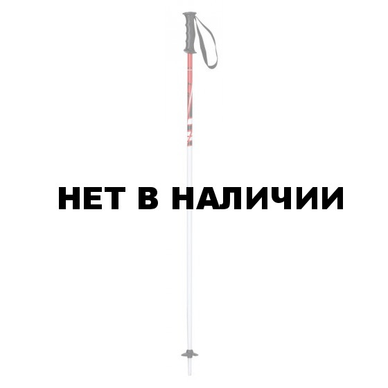 Горнолыжные палки Elan 2015-16 SP JETT RED 