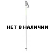 Горнолыжные палки Elan 2015-16 SP AMPHIBIO GREEN 