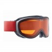 Очки горнолыжные Alpina Challenge 2.0 DH black matt_DH S2