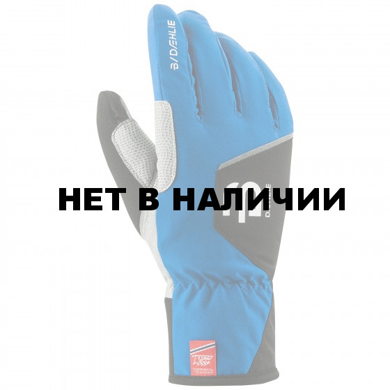 Перчатки беговые Bjorn Daehlie 2016-17 Glove TRACK JR Olympian Blue 