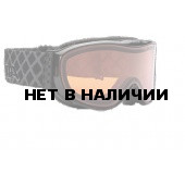 Очки горнолыжные Alpina Challenge S 2.0 DH black transparent_DH S2