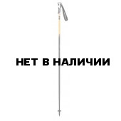 Горнолыжные палки Elan 2015-16 SP AMPHIBIO ORANGE 