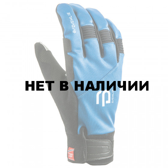 Перчатки беговые Bjorn Daehlie 2017-18 Glove Symbol 2.0 Methyl Blue 