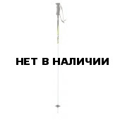 Горнолыжные палки Elan 2015-16 SP MAXX GREEN 