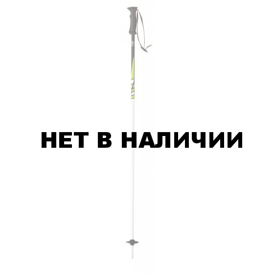 Горнолыжные палки Elan 2015-16 SP MAXX GREEN 