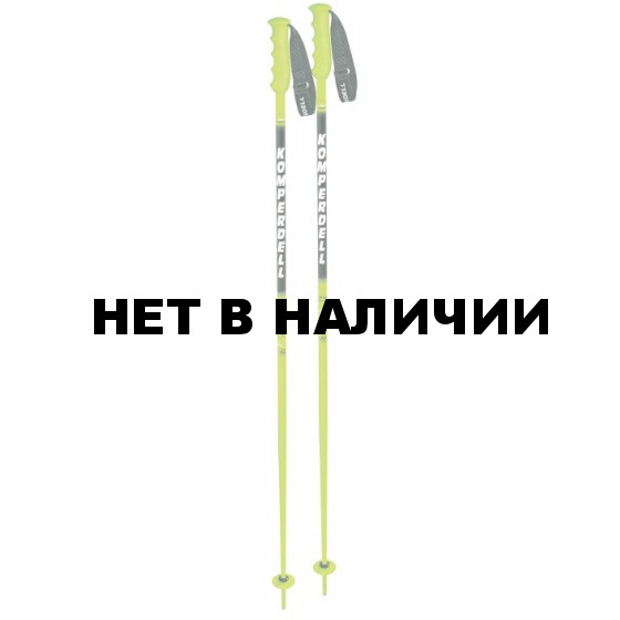 Горнолыжные палки KOMPERDELL 2014-15 Racing Nationalteam 18mm 