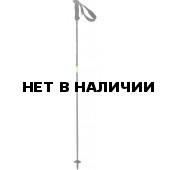 Горнолыжные палки Elan 2017-18 SP CARBONrod (см:130)