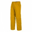 Брюки для активного отдыха Salewa 2016 FANES DRY K 2/1 PNT nugget gold