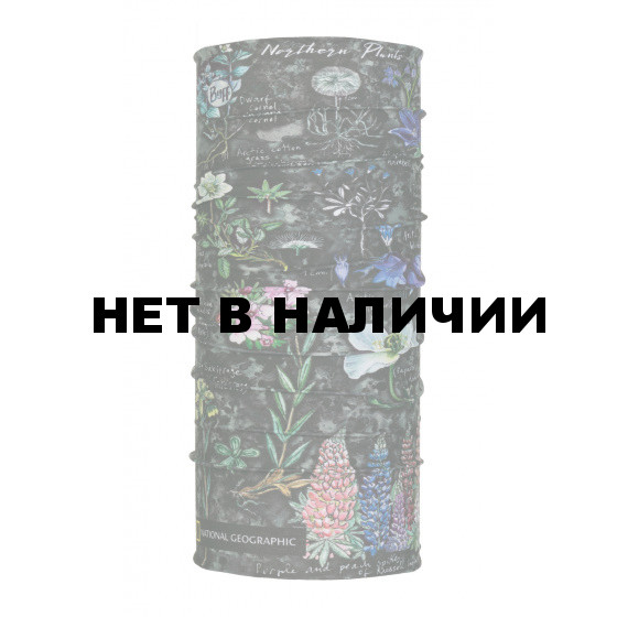 Бандана BUFF NATIONAL GEOGRAPHIC ARTIC FLOWERS GREY