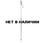 Горнолыжные палки Elan 2015-16 SP EXPLORE SILVER 
