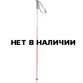 Горнолыжные палки Elan 2017-18 SP ROCKrod RED 