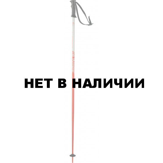 Горнолыжные палки Elan 2017-18 SP ROCKrod RED 