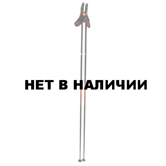 Лыжные палки Bjorn Daehlie 2017-18 LEGEND BLACK (см:165)