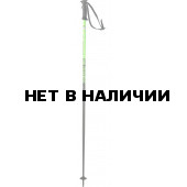 Горнолыжные палки Elan 2017-18 SP ROCKrod GREEN 