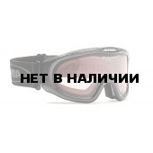 Очки горнолыжные Alpina Skybird Q black_Q S1