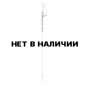 Горнолыжные палки Elan 2015-16 SP SKY 