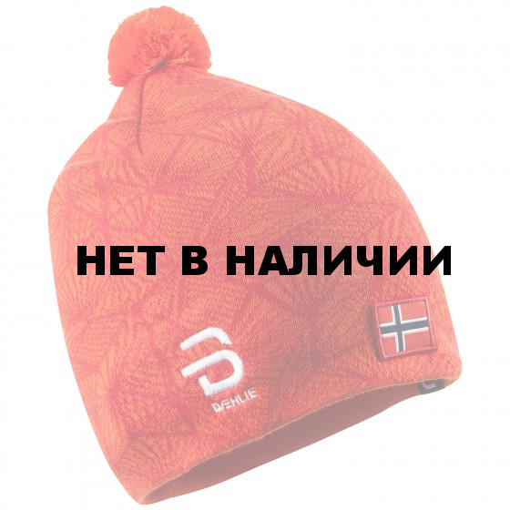 Шапка Bjorn Daehlie 2016-17 Hat PRESS Red