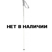 Горнолыжные палки Elan 2017-18 SP ROCKrod WHITE 