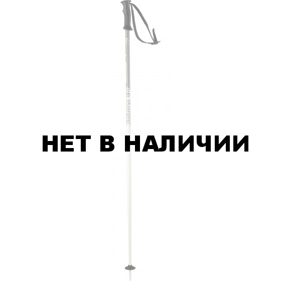 Горнолыжные палки Elan 2017-18 SP ROCKrod WHITE 