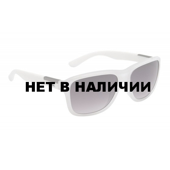 Очки солнцезащитные ALPINA 2015-16 CASUAL A 111 white transparent